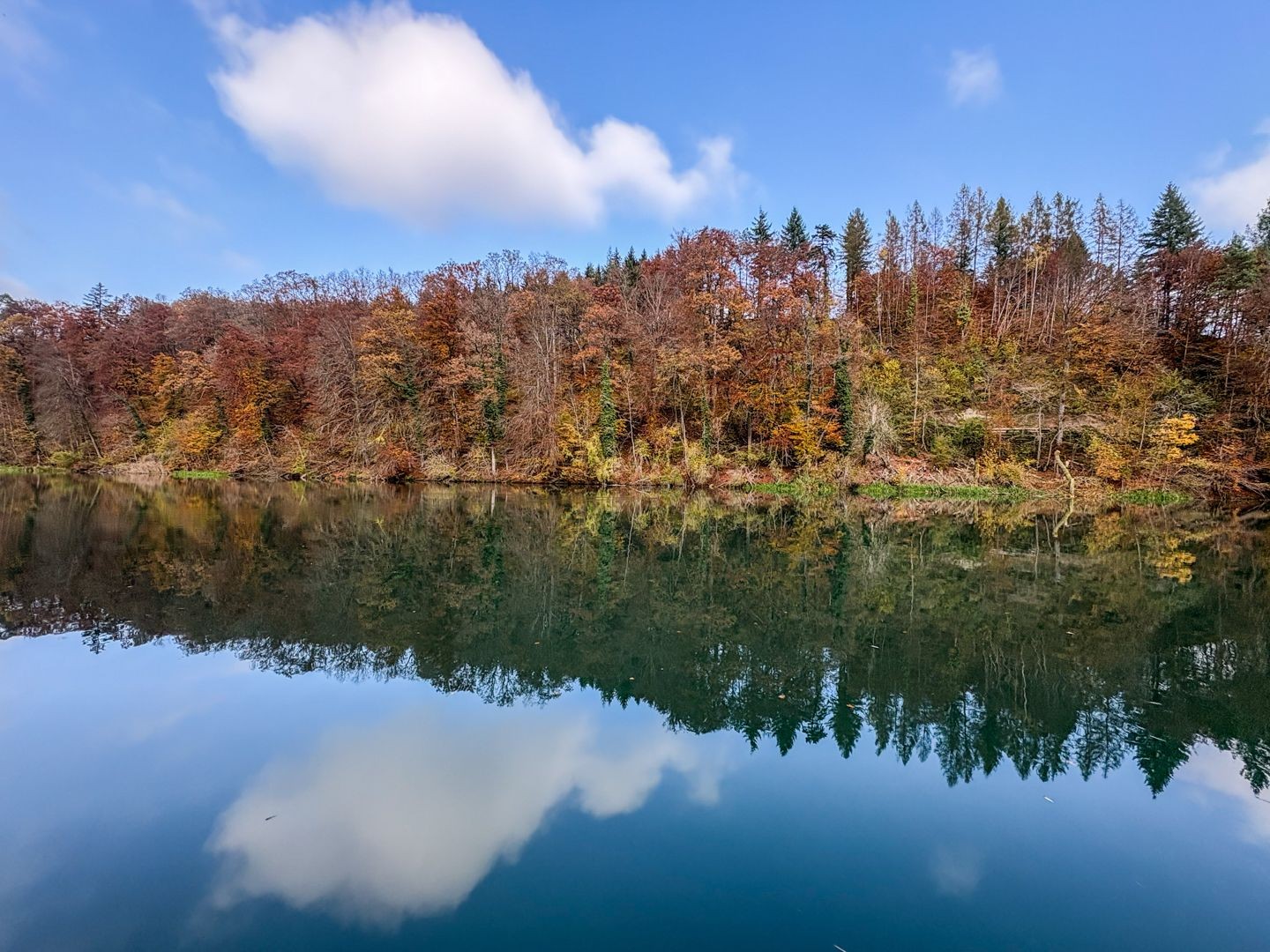 Forêt d’automne peu avant Bremgarten, qui se reflète dans la Reuss.