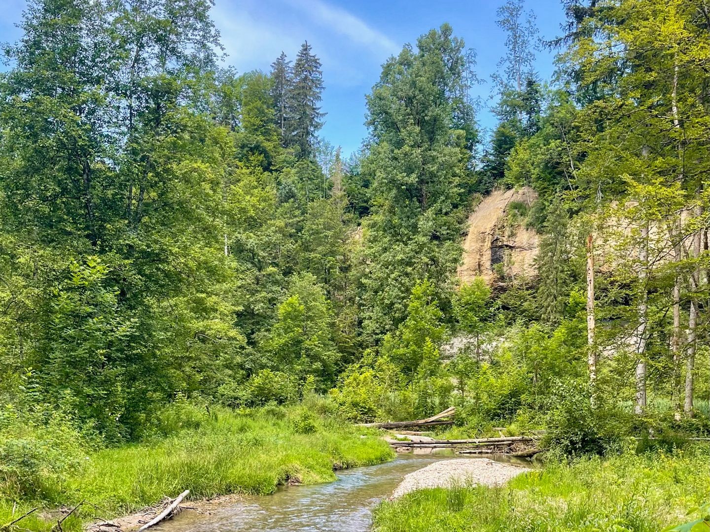 Wilde, ursprüngliche Natur begleitet die Wanderung.