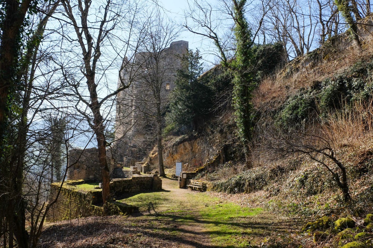 Le château de Homburg apparaît entre les arbres dégarnis.