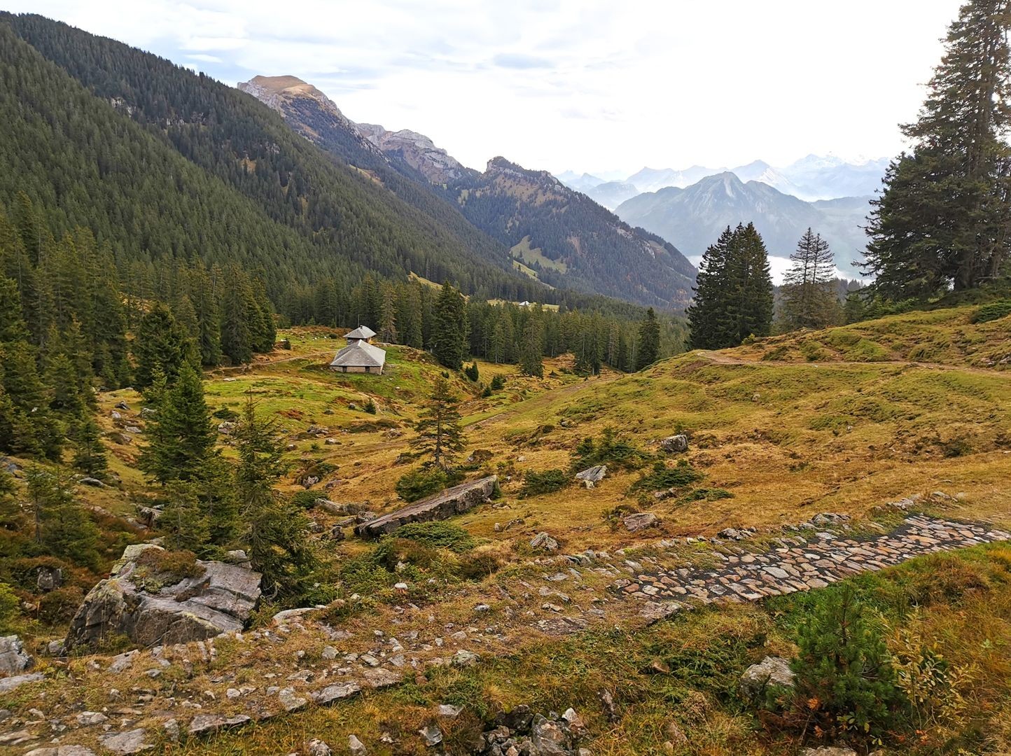 Oberhalb von Wängen schlängelt sich der Polenweg über die Alpweiden.