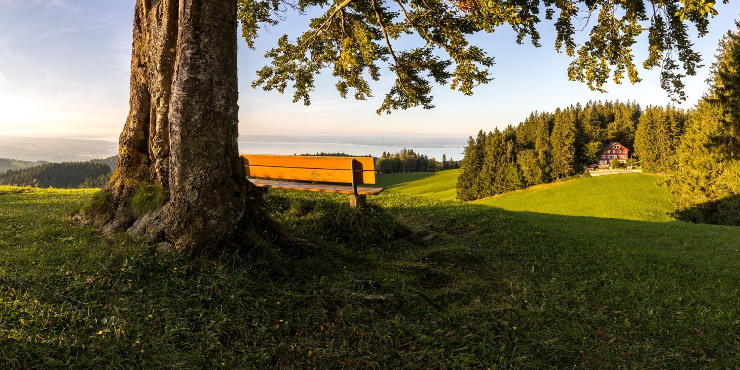 Kaien Richtung See