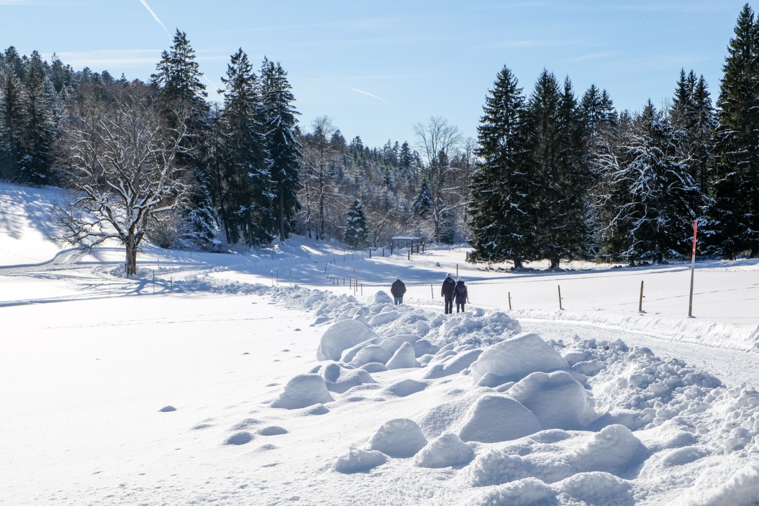 Quel plaisir de se promener dans un paysage hivernal bien enneigé.