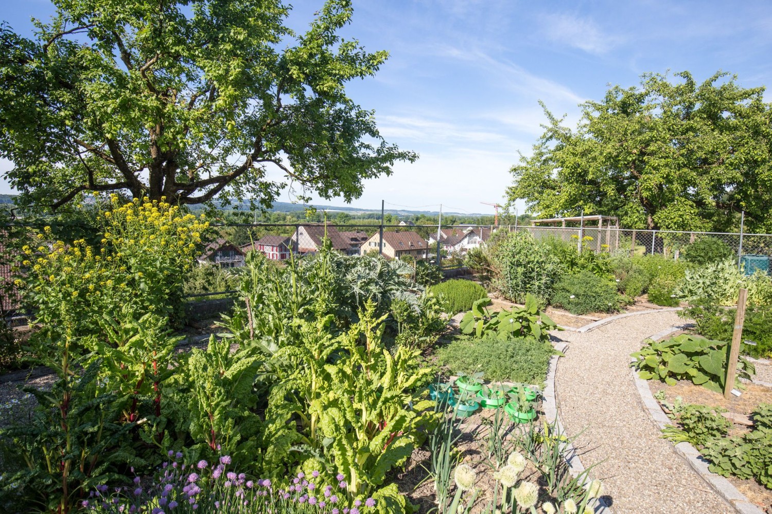 Le Karlsgarten Mettendorf, aménagé selon les idées de Charlemagne.