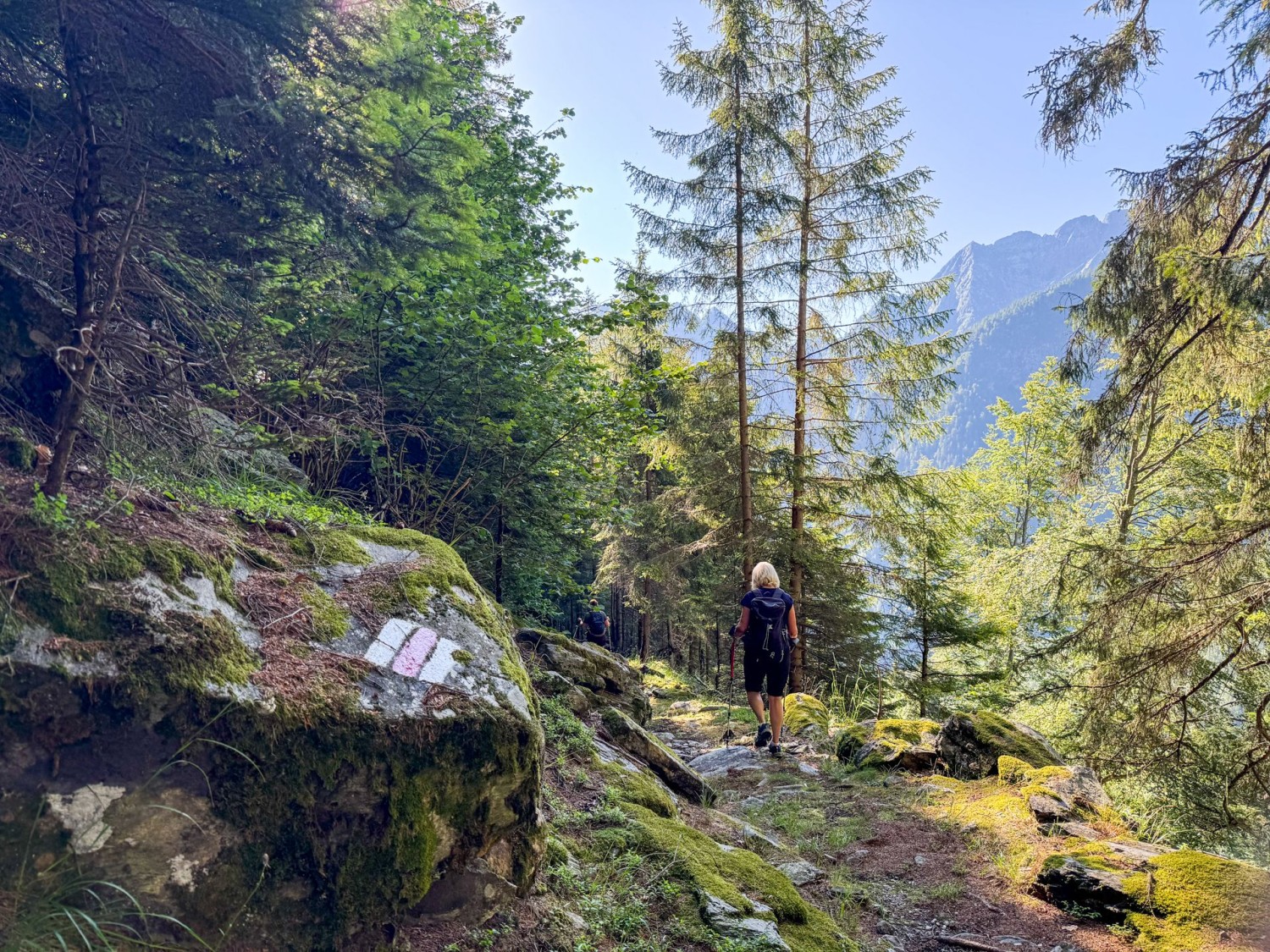 Il sentiero escursionistico è segnalato con segnavia bianco-rosso-bianco.