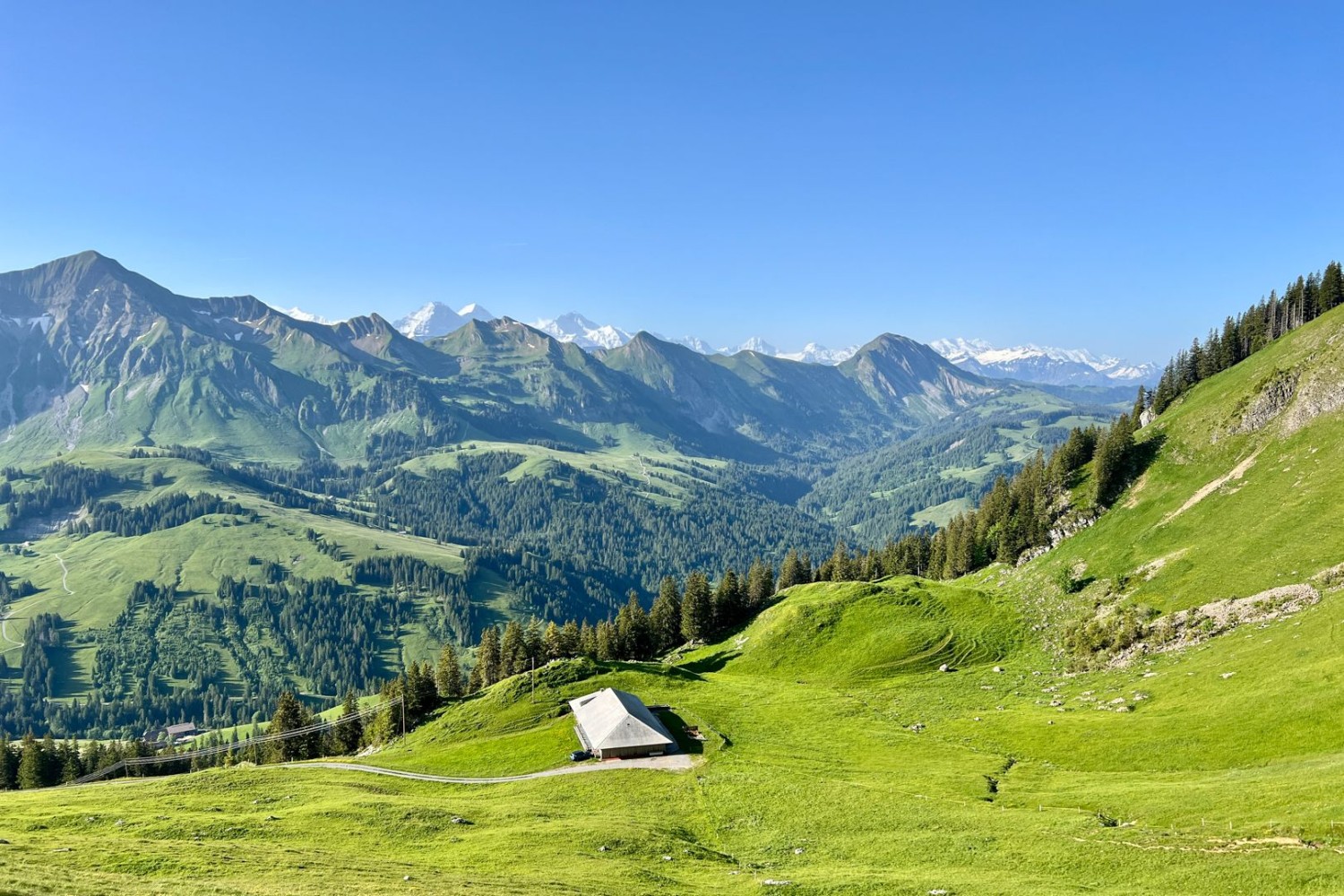 Im Süden sieht man hinter der grünen Bergkette, die sich vom Tannhorn (links) bis zum Augstmatthorn erstreckt, die schneebedeckten Alpen.