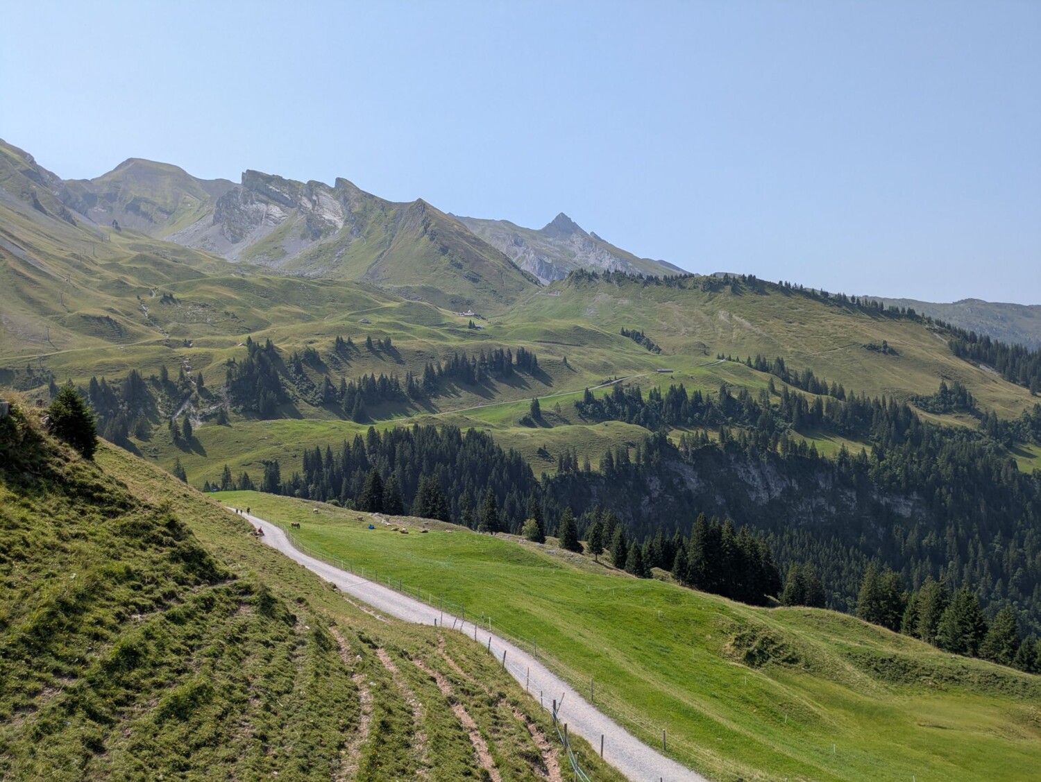 Alpenlandschaft am Klewenstock Der Weg führt über sanfte Matten mit eindrücklicher Kulisse.