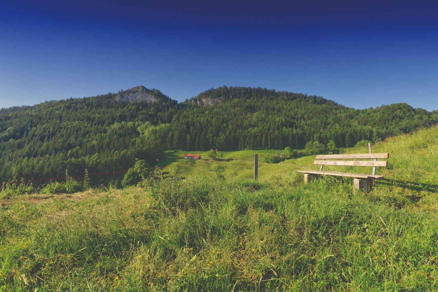 Quellenwanderung mit Eptinger - natürlich erfrischend!