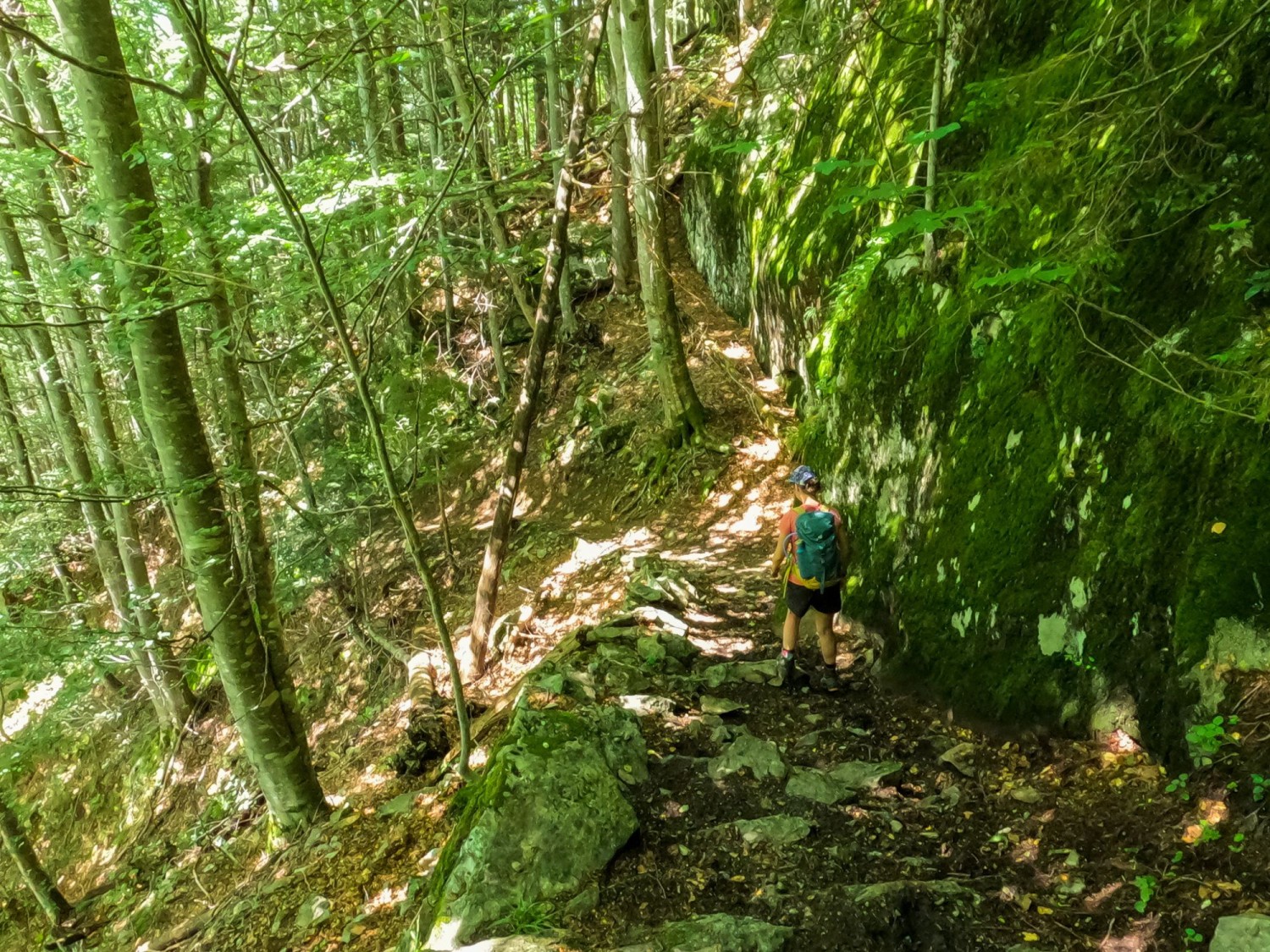 La descente dans la vallée est relativement raide et peut mettre les genoux à rude épreuve.