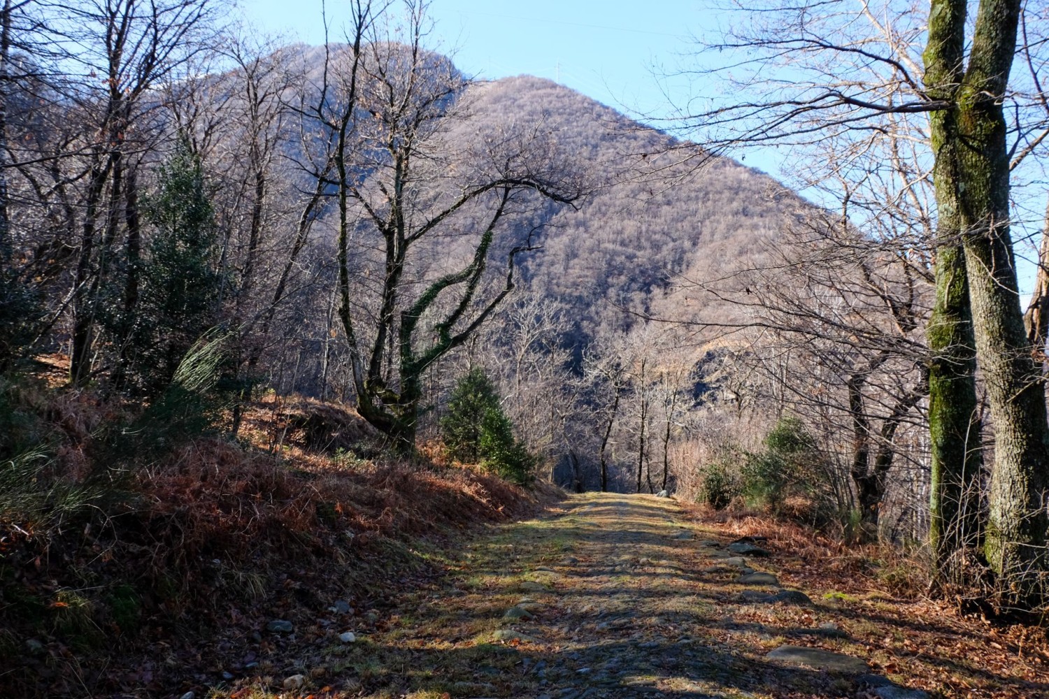 Des générations de commerçants sont passés sur la strada romana.
