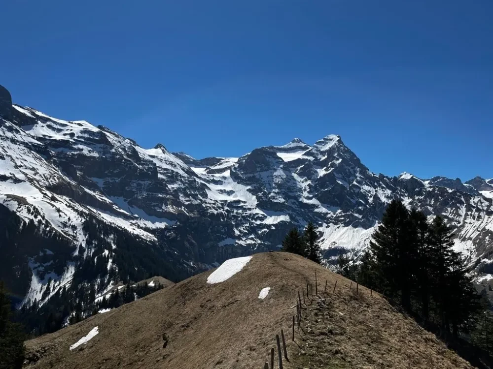 Schartihöreli