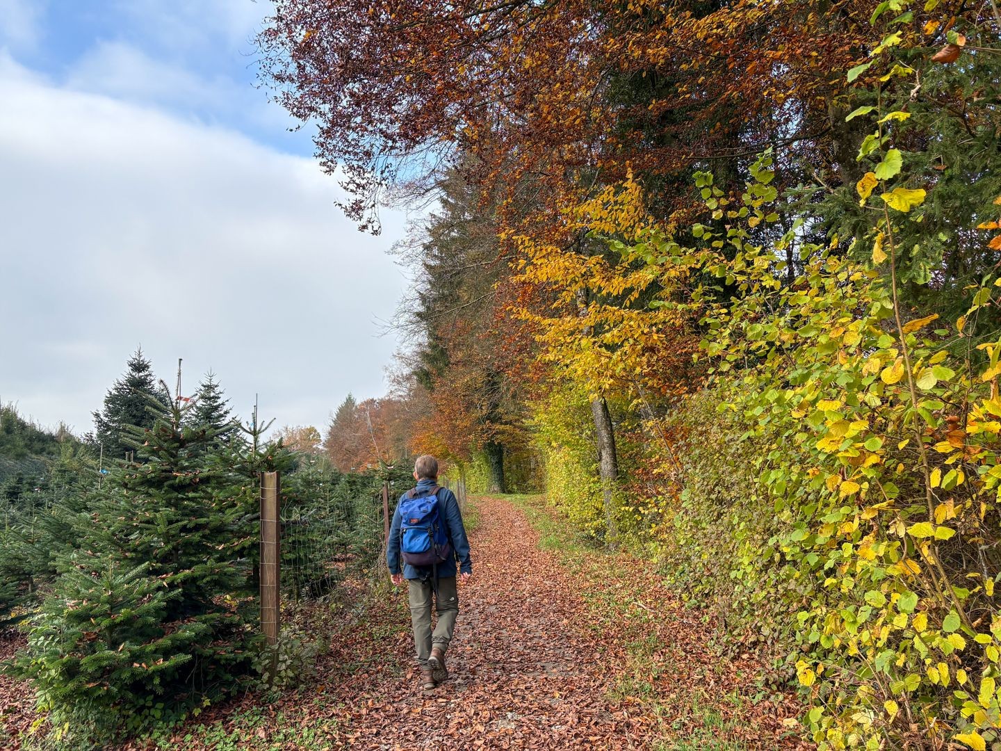 Avant Hermetschwil, le chemin quitte brièvement le bord de la rivière.