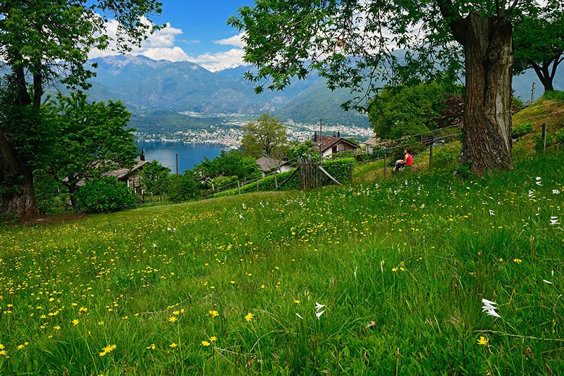 Der schmucke Weiler Monti di Gerra liegt in einer Lichtung im Wald oberhalb des Lago Maggiore. Foto: natur-welten.ch
