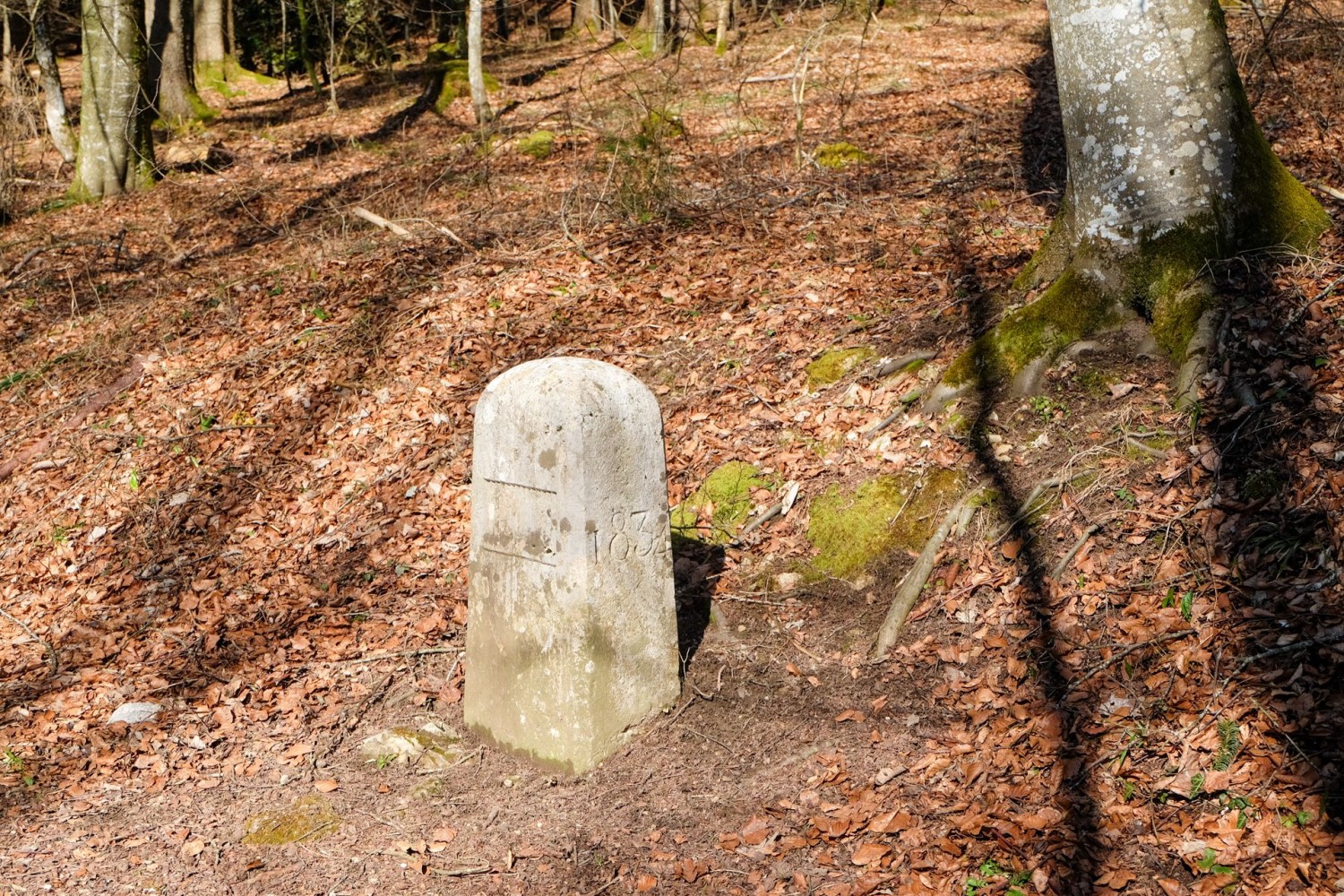 On suit brièvement la frontière entre les cantons de Soleure et de Bâle-Campagne.