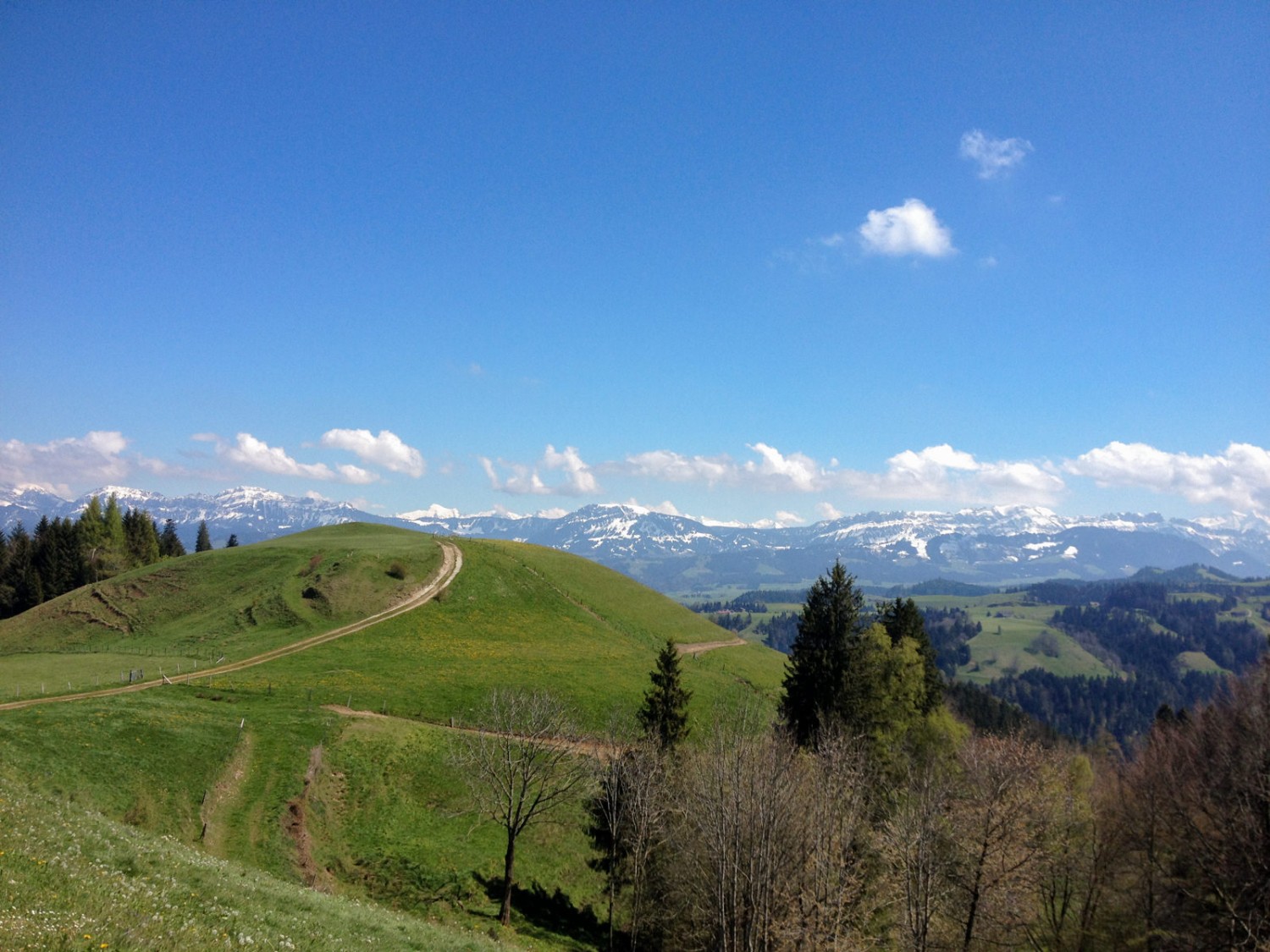 Vaste panorama depuis le village ensoleillé de Menzberg. Photo: Claudia Peter