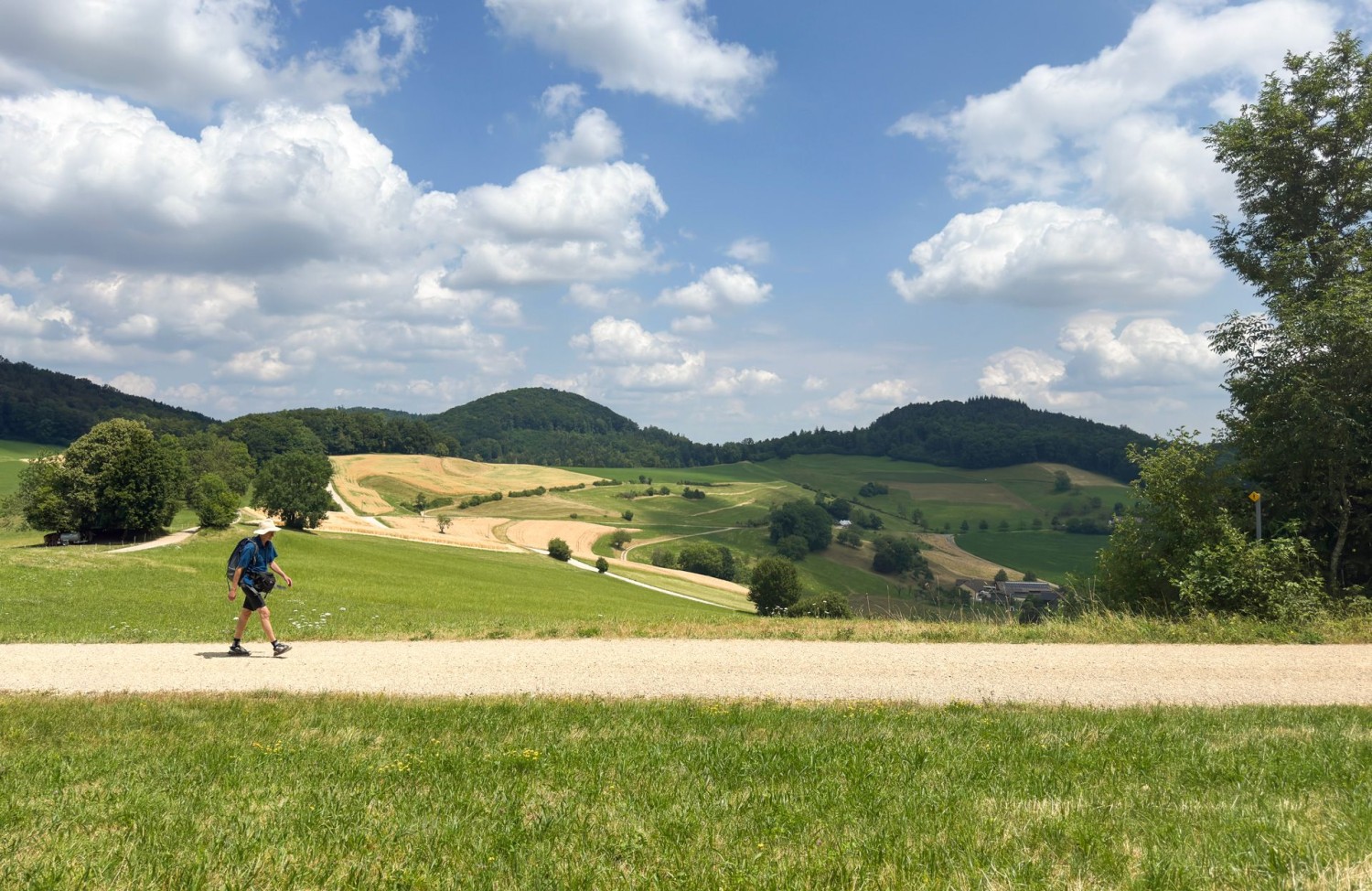 Sur les vastes hauteurs du Jura, près de Kilholz