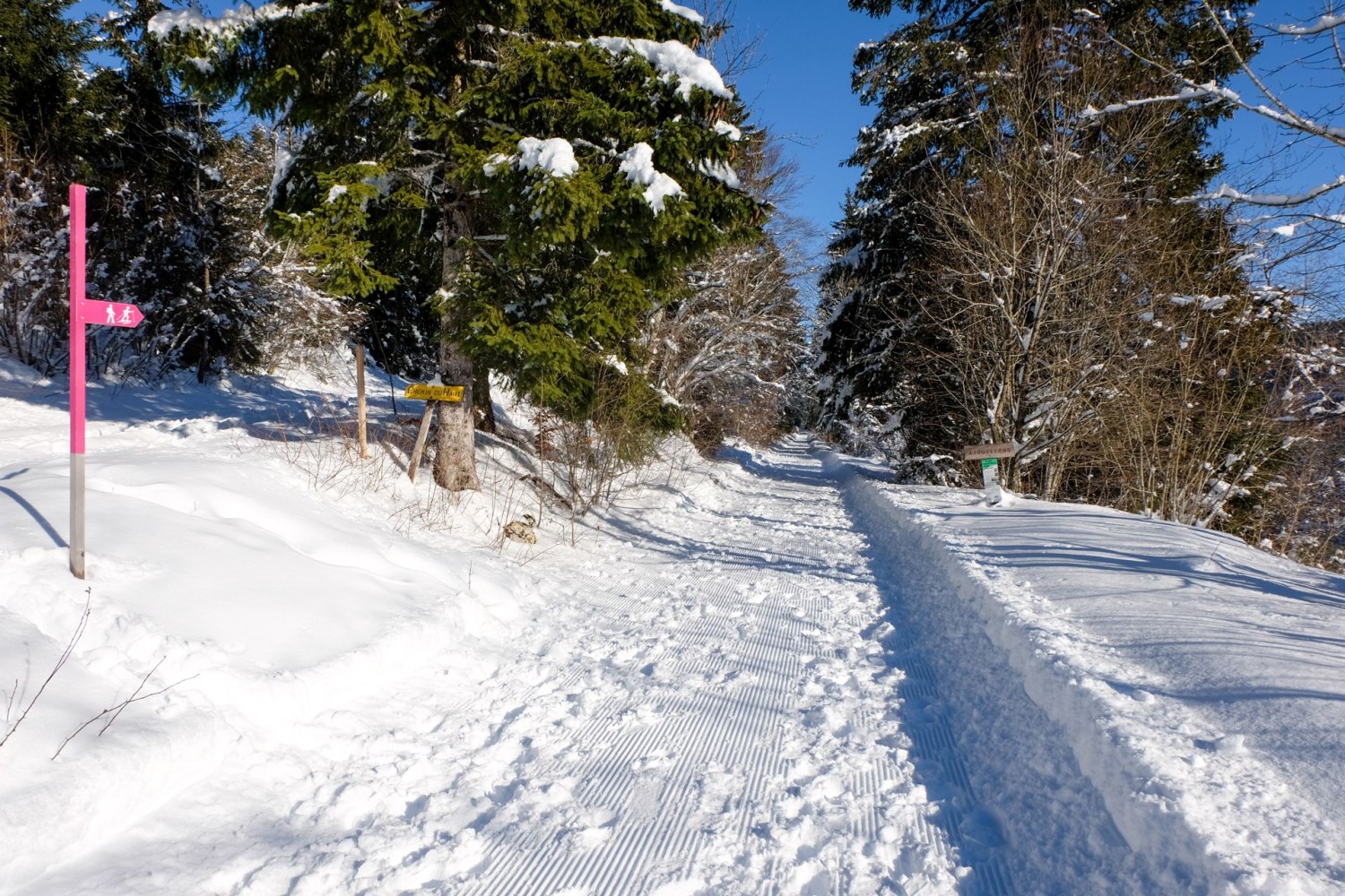 Au début, adeptes de raquettes et de randonnée se côtoient.