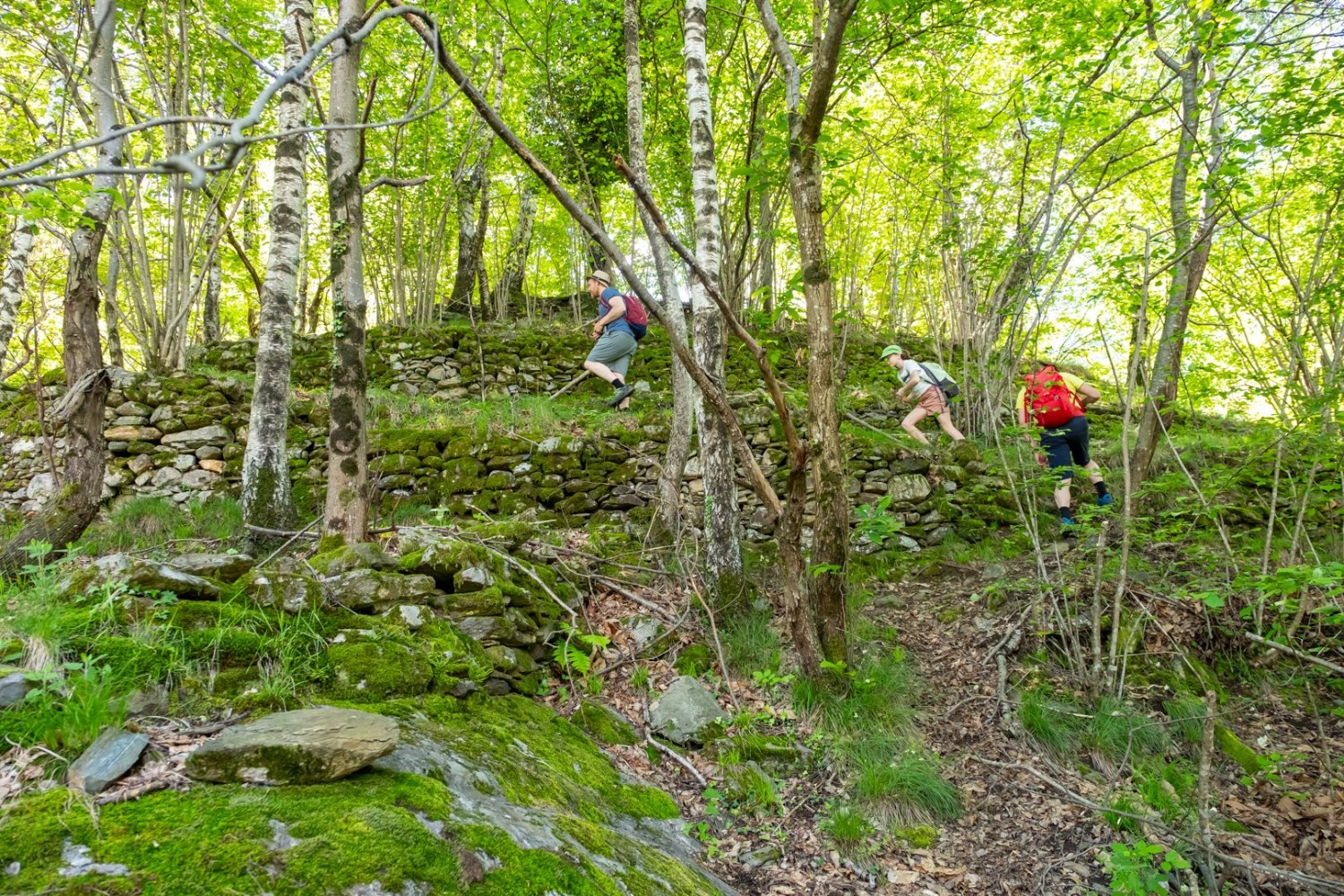La cosiddetta Garlenda si nasconde nel bosco sopra la Chiesa di Sant’Anna.