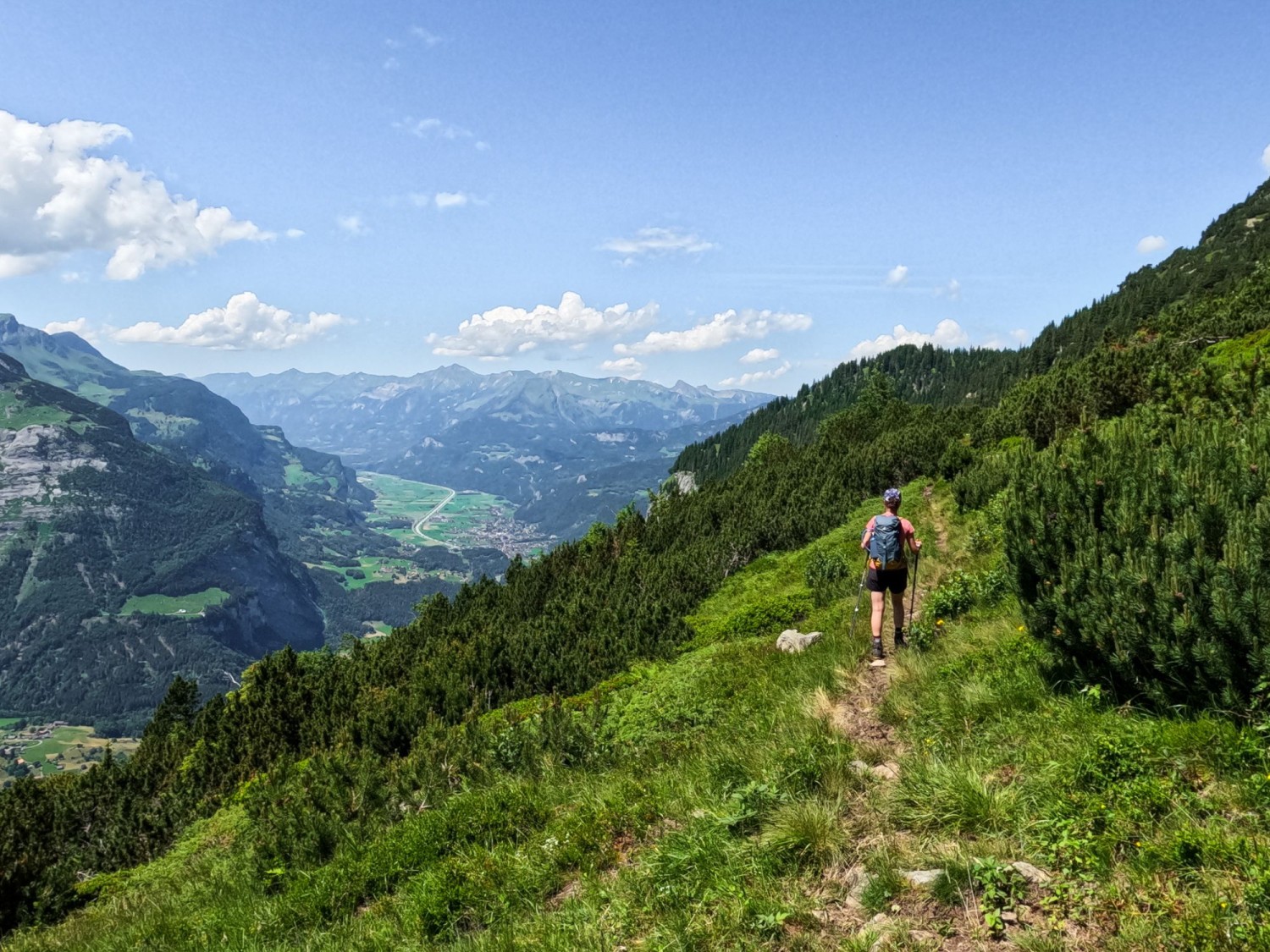 Des pins de montagne bordent le chemin. Dans la vallée, Innertkirchen est déjà visible.