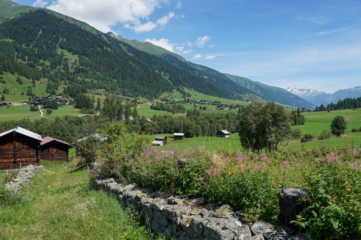 Wieder unten im Tal bei Zeit wird die Landschaft weit und lieblich.