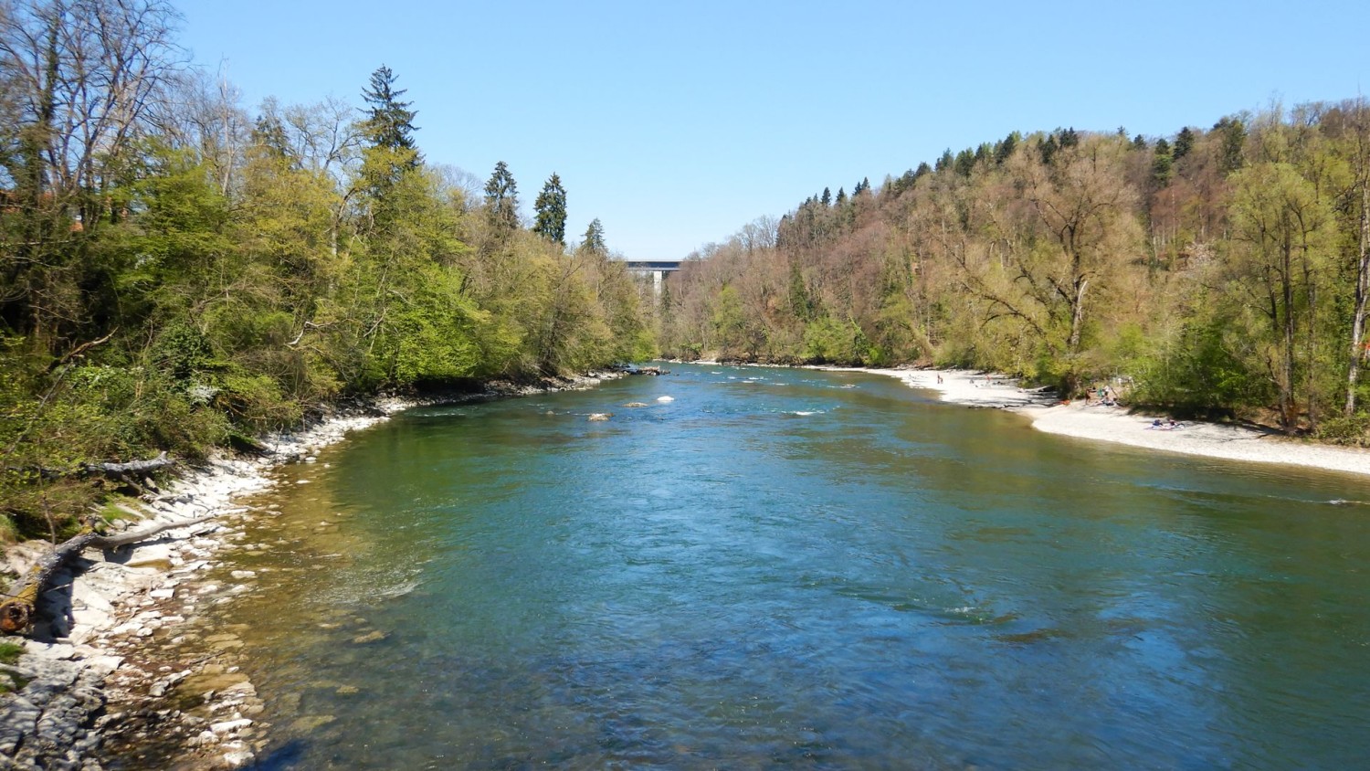 Veduta sulla Reuss prima del ponte pedonale nei pressi di Büblikon.