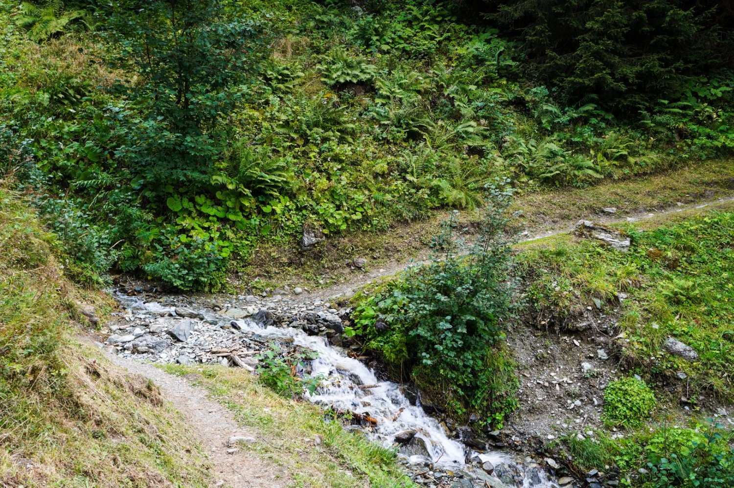 Der Weg führt abwechselnd durch Nadelwälder, an abfallenden Weiden entlang und an reissenden Gebirgsbächen vorbei.