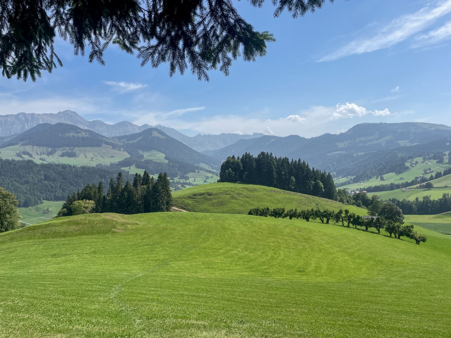 Im Aufstieg kurz nach Urnäsch: Blick zurück auf den Säntis und zu den Toggenburger Bergen.