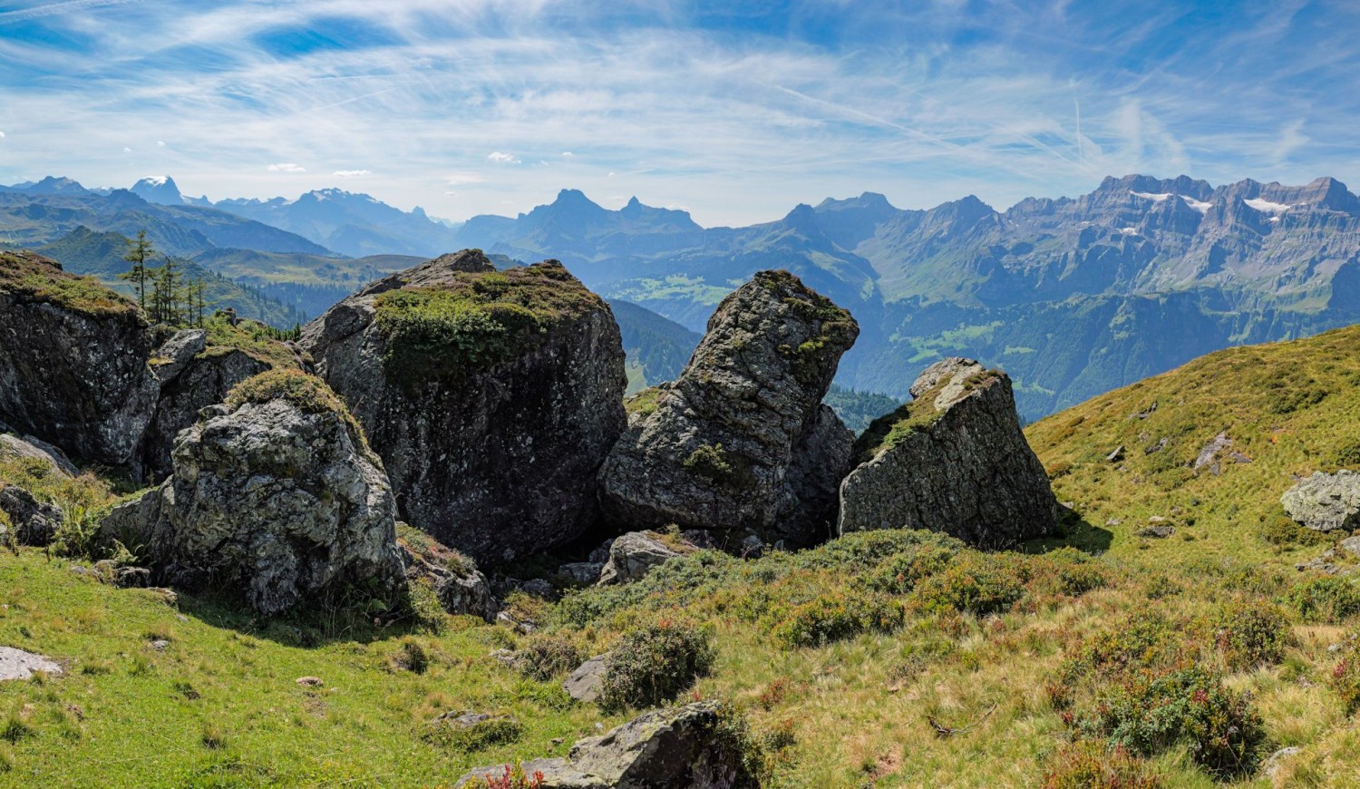 Riesige Felsbrocken sind vom Gandstock auf die Weiden bei Nideren-Gandbütz gekracht. Ganz links der Tödi, ganz rechts der Glärnisch.
