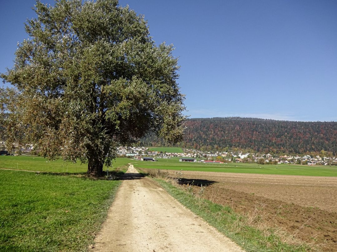 Nach und nach entfernt man sich vom Nordhang des Val de Ruz.