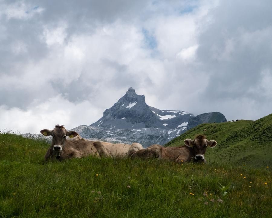 Foto: Fabian Béboux, FotoPate SchweizMobil