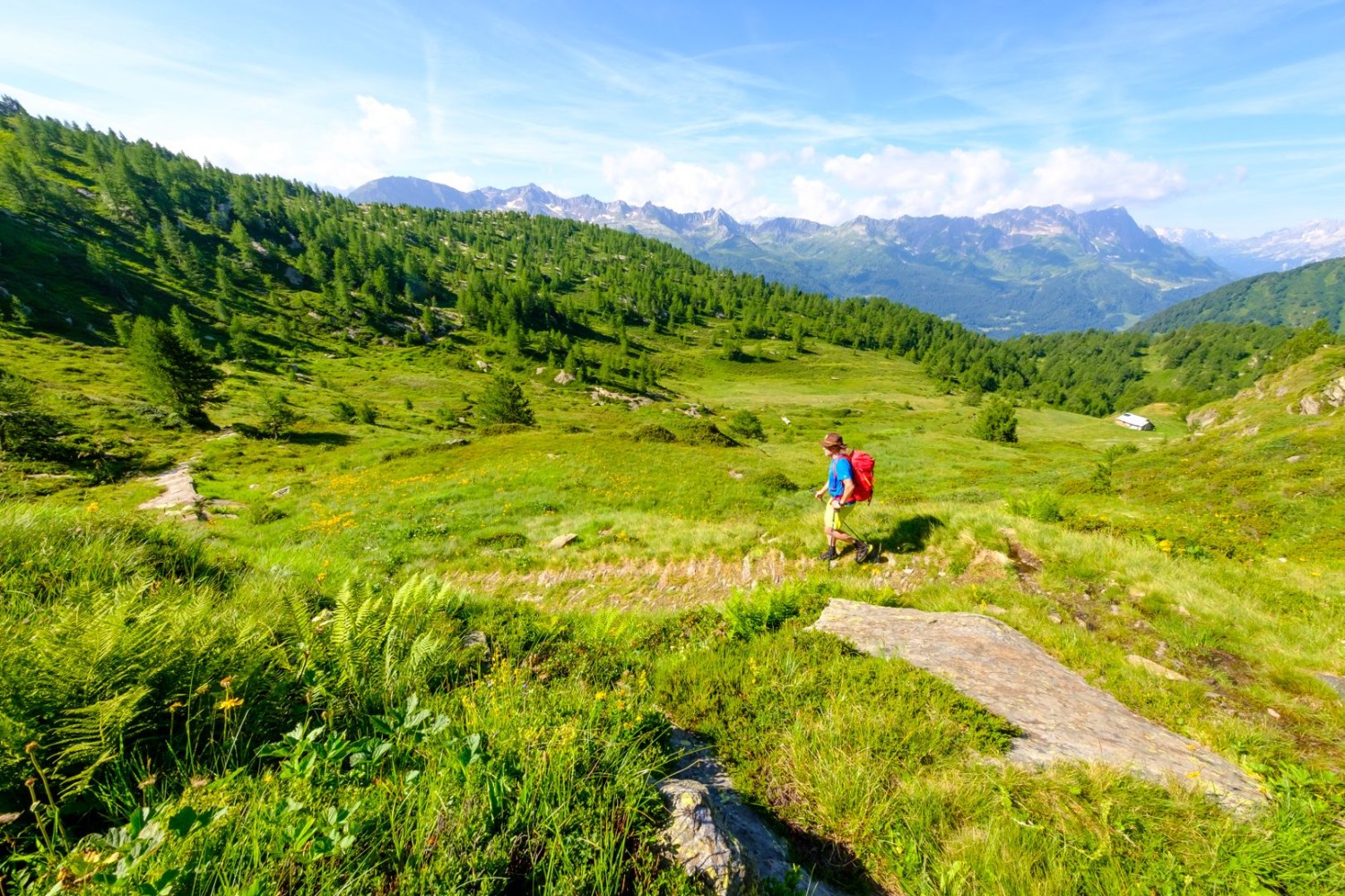 A Pinett, il sentiero escursionistico si dirama verso sud fino al Passo Forca e verso ovest fino a Piora, con le montagne della Leventina all'orizzonte.