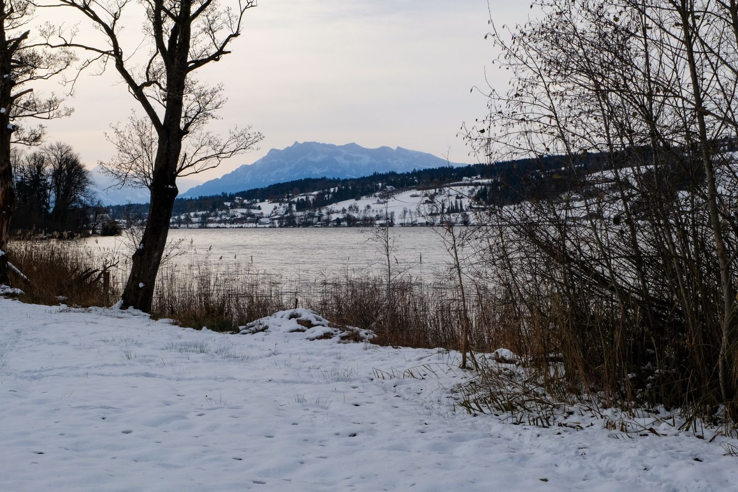 Un climat doux le long du lac de Baldegg.