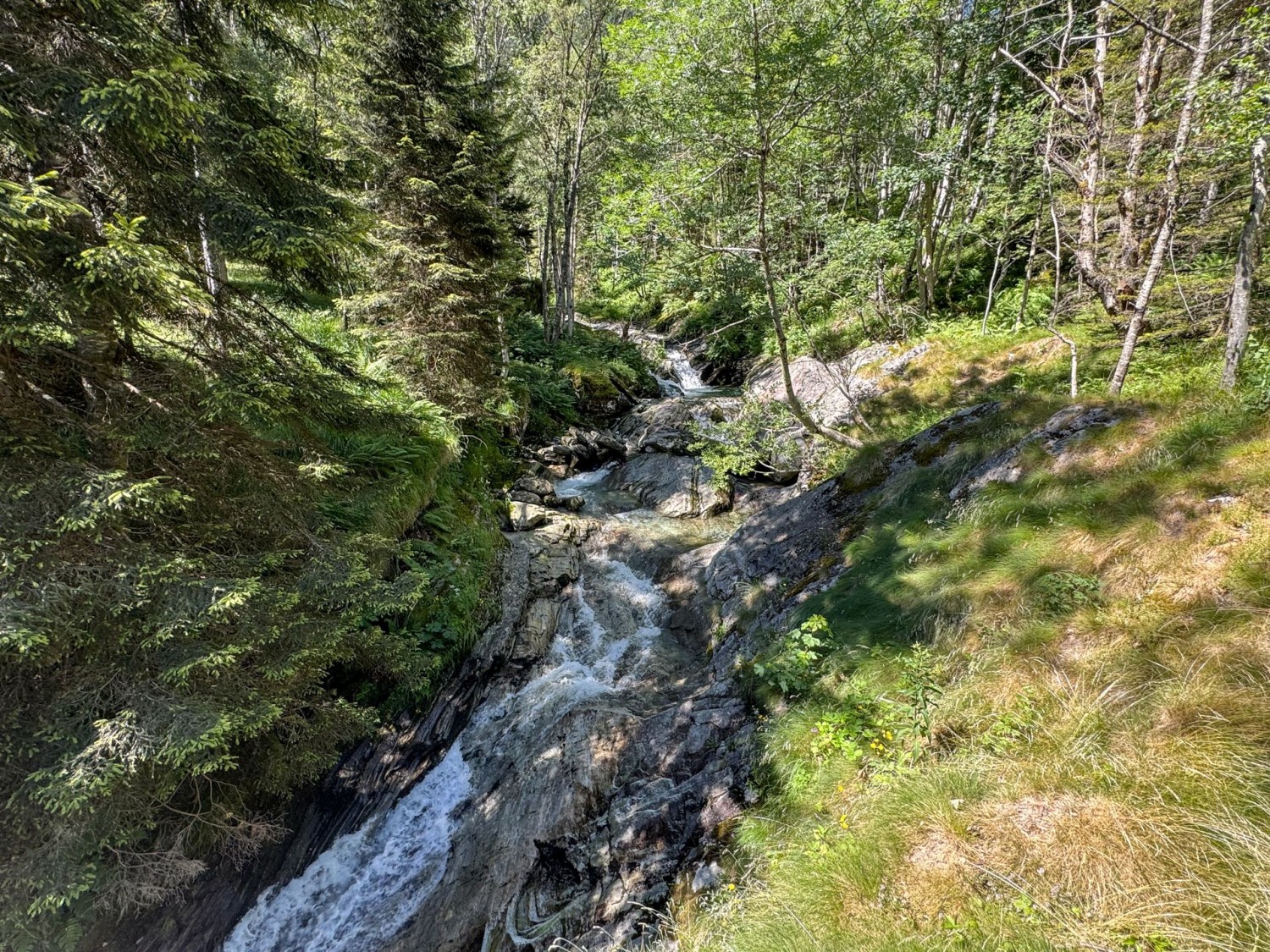 Lo schiumeggiante torrente di montagna Ri d’Arnau.