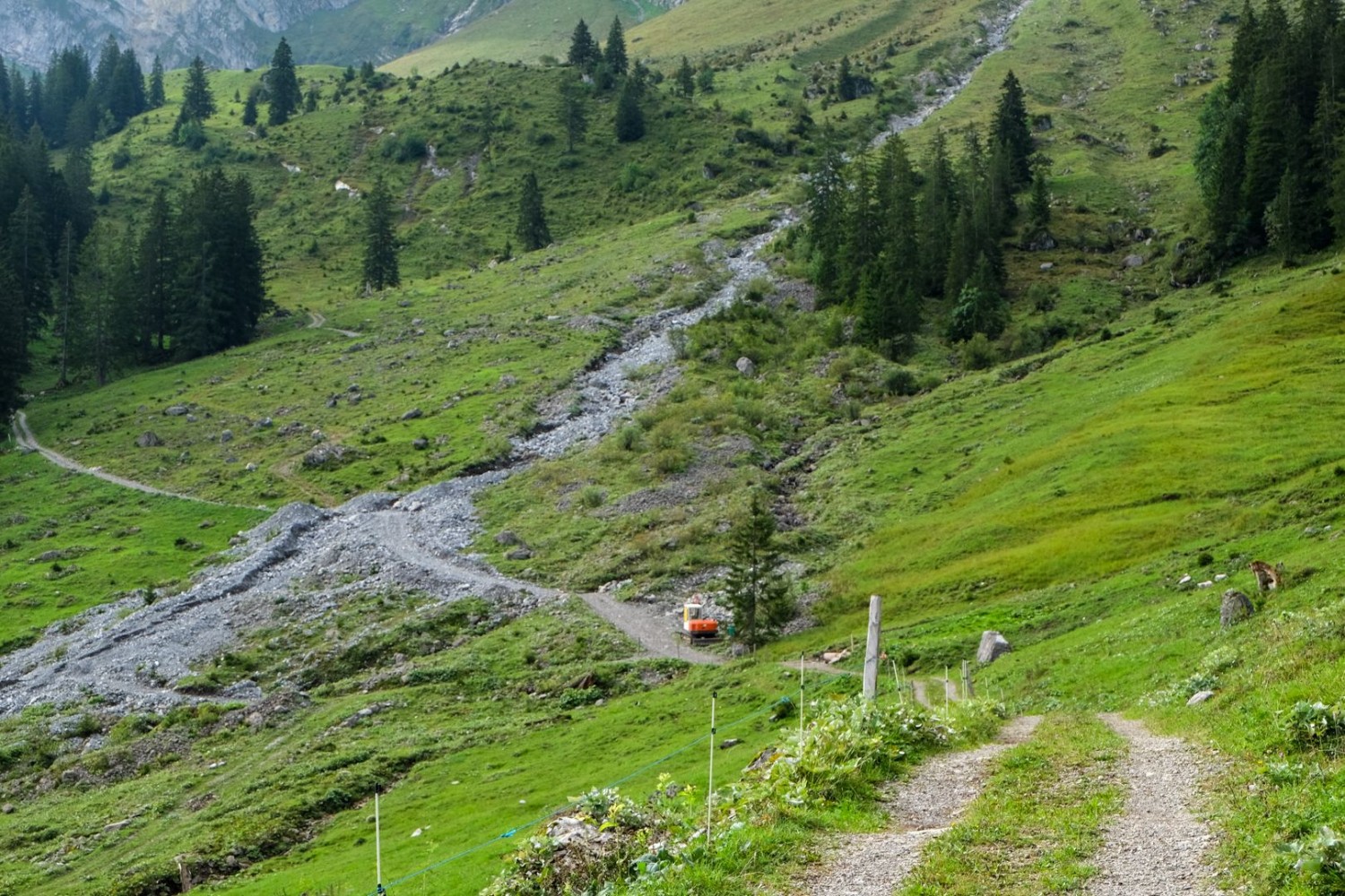 Die Natur schenkt hier nichts. Immer wieder fahren bei heftigen Regen Murgänge über die Weiden.