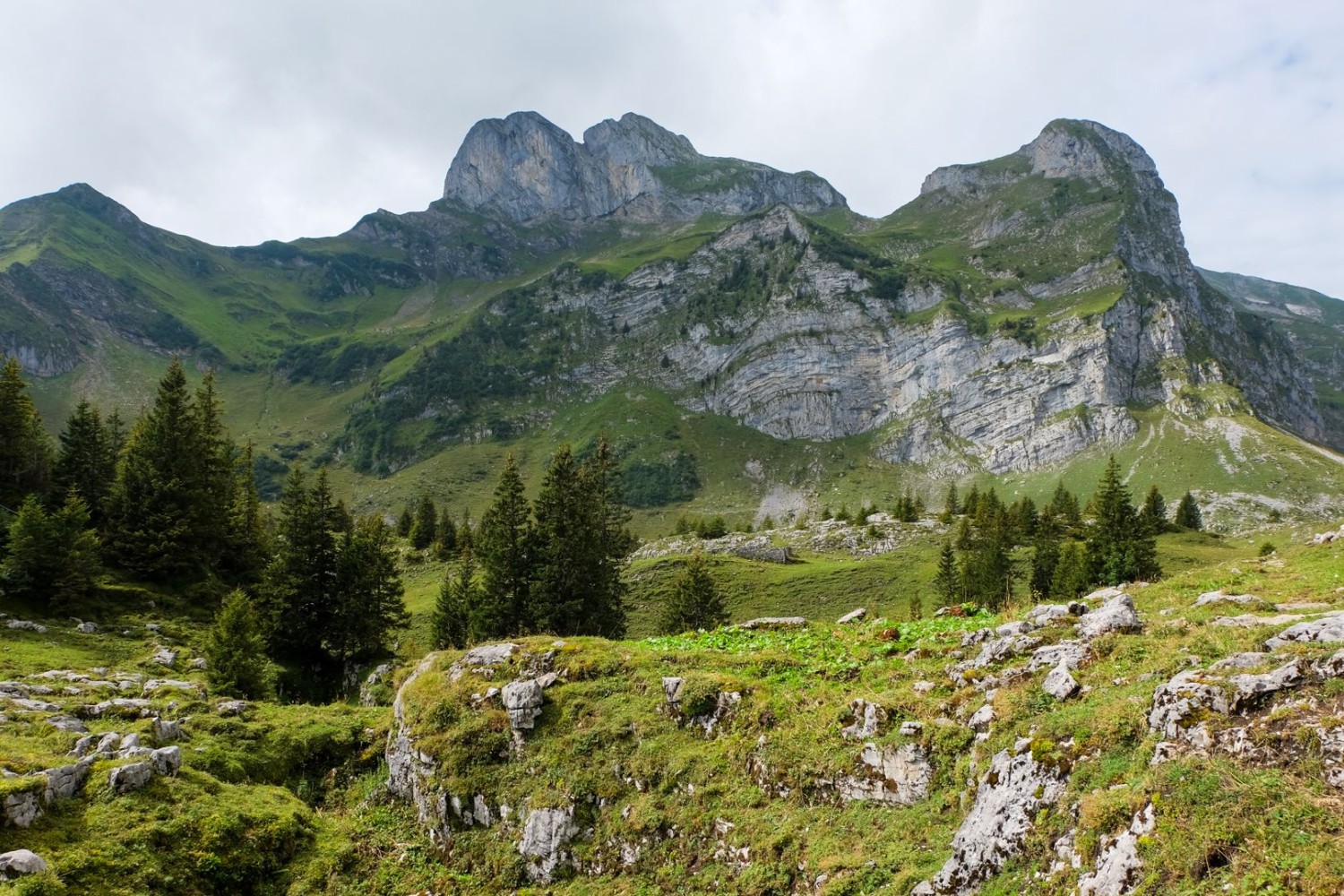 Blick auf den Widderfeld Stock (Mitte) und das Hohliecht (rechts).
