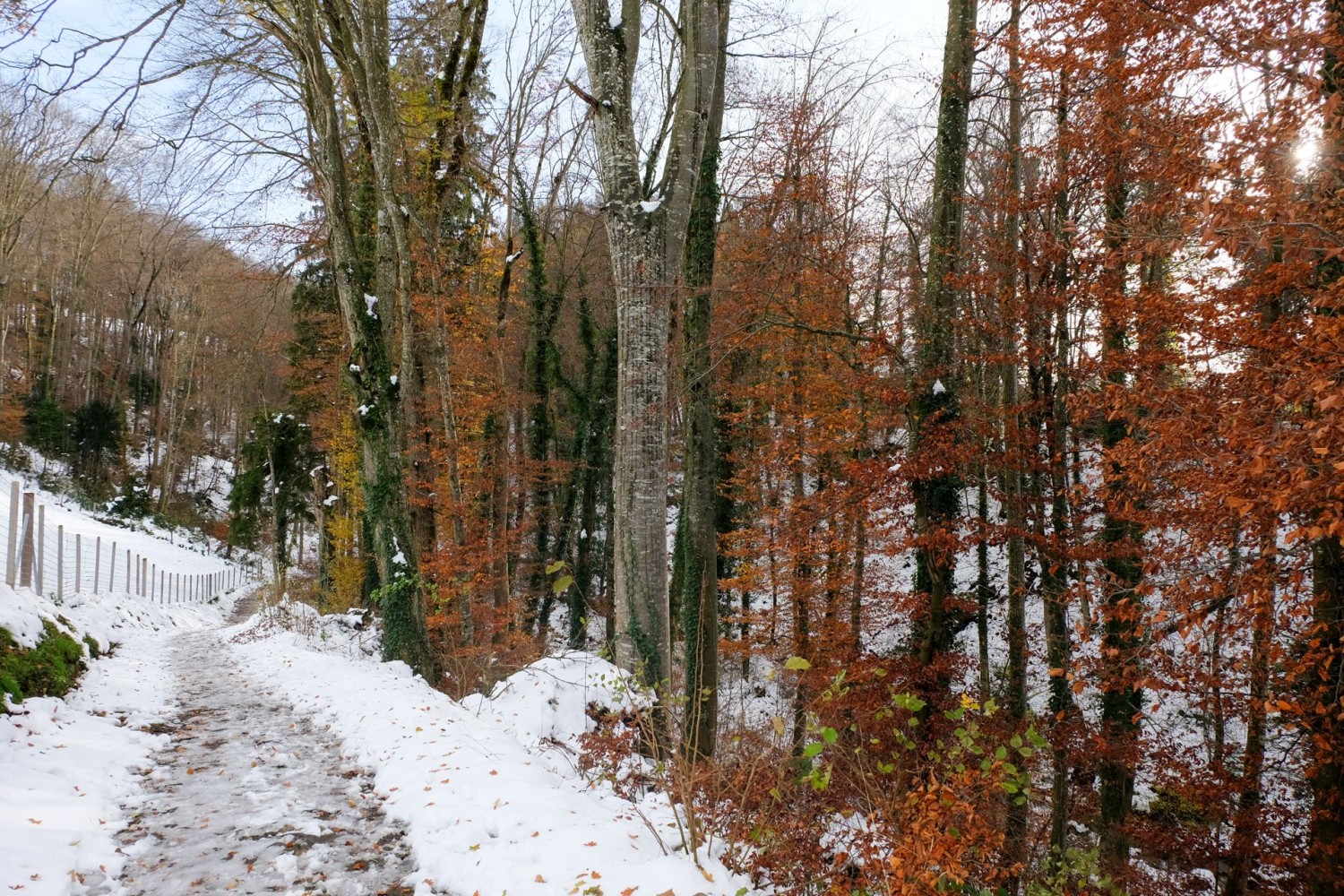 On rejoint le château de Heidegg par la charmante petite vallée du Dünkelbach.