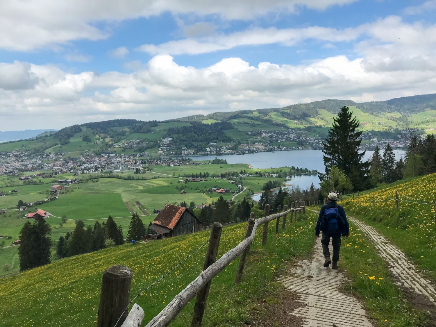 Des prairies luxuriantes et une vue magnifique sur la vallée d’Ägeri.