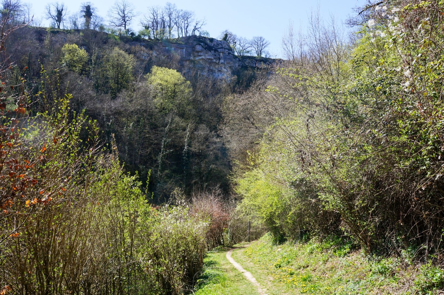 Blick zurück vom Canal d’Entreroches auf den Mormont.